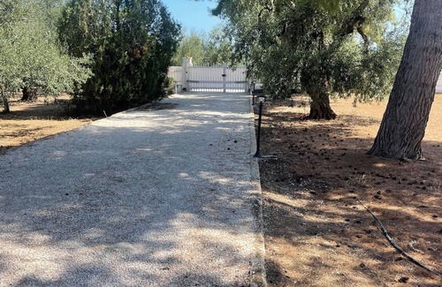 Trani Villa | Guest house located on private olive orchard estate surounded by olive trees.