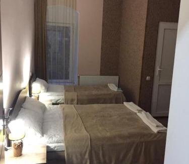 Telavi House | Guest House Sanapiro