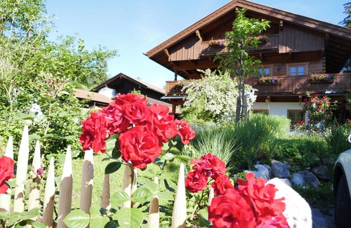 Neuhaus Apartment | Guesthouse Ankelspitz - apartment in the basement