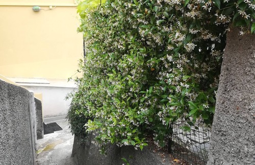 Riomaggiore House | Guesthouse the Geese (CITR-011024-AFF-0037)