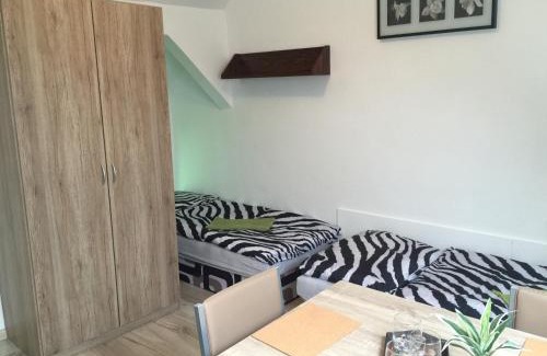 Spacince House | Guesthouse Zuzana