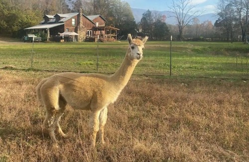 Benton Bed & Breakfast | Gypsy Haven A home away from home !