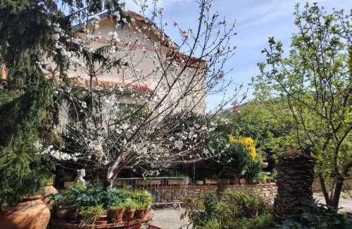 Amelie-les-Bains-Palalda Hotel | Hébergements à La Rive, Accueil ouvert tous les jours jusqu'à 20h00 dernier délai, depuis 30 ans ! Réserver ici svp ! Merci ! Aucun règlement à distance accepté, Paiement par CB, Espèces, Chèque ou Chèques-Vacances impérativement à la remise des clefs !