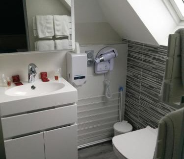 Aix-les-Bains City Center Hotel | Hôtel de la Grotte