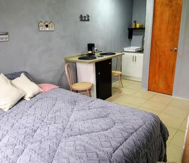 Cavancha Apartment | Habitación Studio con baño privado