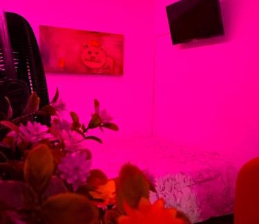 Oaxaca House | HABITACIONEZ HVUZ