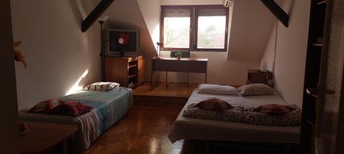 Orszagut House | Hakuna Matata - Room in Budapest - Near Buda Castle, Parliament and Margaret Island