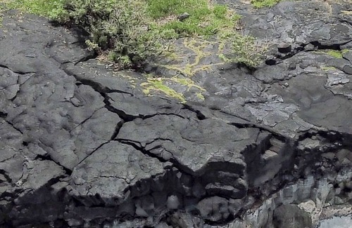 Keaau House | Hale Kai Nalu- Oceanfront Luxury Home W/Pool & Spa- Hilo-Side