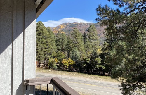 Durango - Purgatory Condo | Half way there,15 minutes to skiing at Purgatory or dining & shopping in Durango