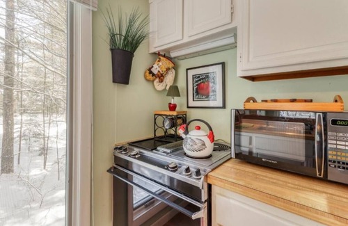 Harbor Springs Condo | Harbor Cove condo w/fireplace and Lake Michigan Beach!