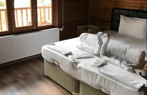 Kocasinan Cabin | Harmancık eko turizm tesisleri