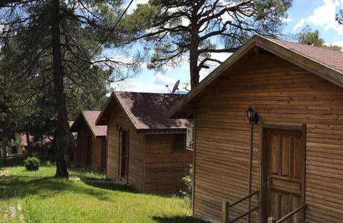 Kocasinan Cabin | Harmancık eko turizm tesisleri