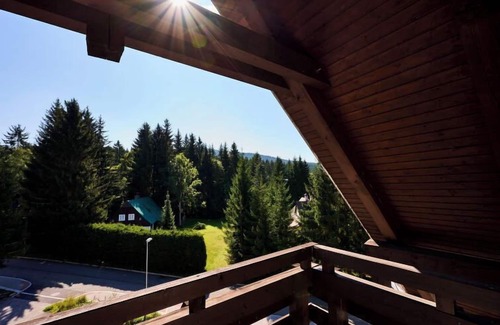 Harrachov Apartment | Harrachov 497 by Interhome