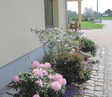 Thallwitz Apartment | Haus am Park mit Sauna Nähe Eilenburg Wurzen