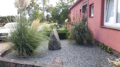 Todendorf Apartment | Haus am Teich - Teichblick