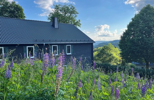 Glindfeld Apartment | Haus am Walde in Küstelberg mit Eigener Infrarotsauna! Familienfreundlich!