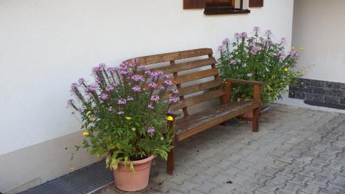 Oberlindbergmuhle Apartment | Haus Bergblick