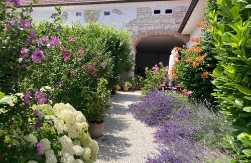 Morbisch am See Apartment | Haus Diogenes