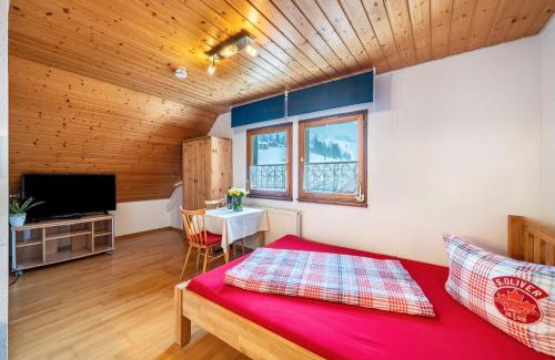 Todtnauberg Apartment | Haus Schöneck