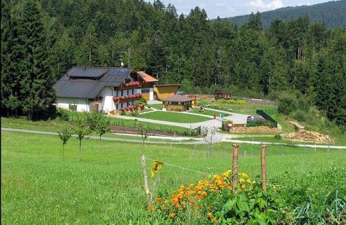Neureichenau Apartment | Haus-Spannbauer-Wohnung-Fuchsenstein
