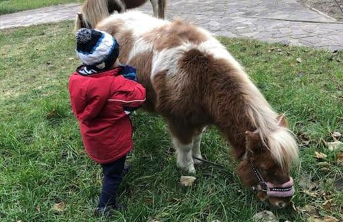 Wendisch Rietz House | Haus Wilma Grüne Idylle im Wald direkt am See