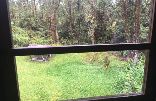 Mountain View Cabin | Hawaiian Tree House Cabin - A/C and 15 Minutes to Volcano National Park