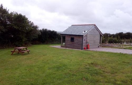 Wadebridge Other | Hawk's Nest