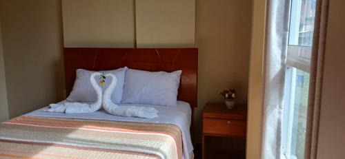 Santa Teresa Hotel | Haylli Café Oro Hotel