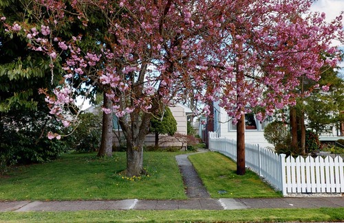 Snohomish Apartment | Hazel's Hideaway: A/C in walkable neighborhood