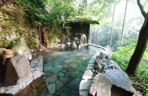 Shinshiro Hotel | Hazu Gassyo