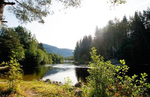 Seljord Other | Hegna Camping