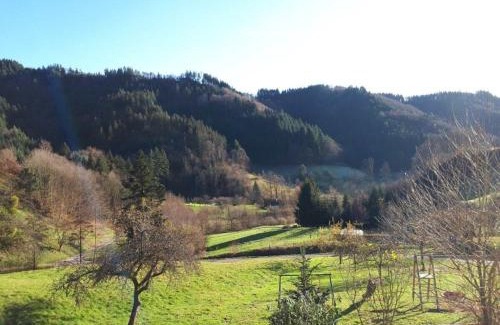 Lautenbach House | Heimatglück Comfortable holiday residence
