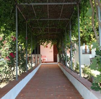 Kanevos House | Hellenick House