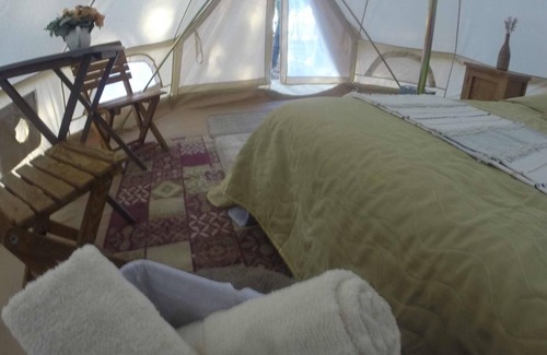 Mascota RV Rental | Hermosa Tienda Glamping Internada en el Bosque de Mascota; Jal