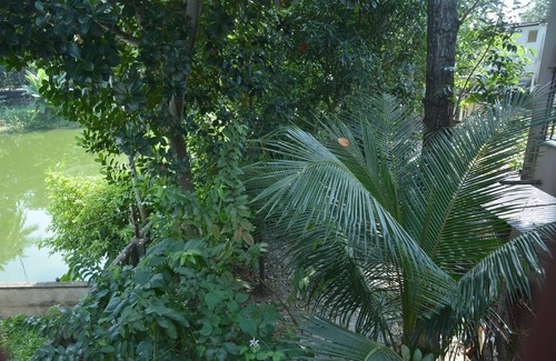 Baruipur House | Hibiscus Chandannagar, A home for all.