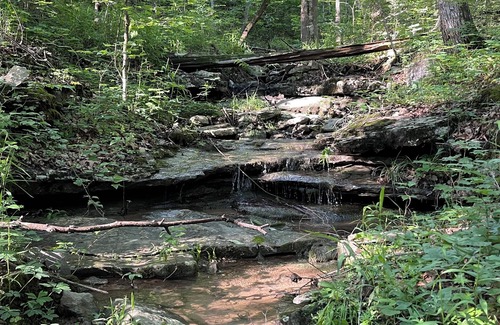 Kimball RV Rental | Hidden forest campground in South Pittsburg