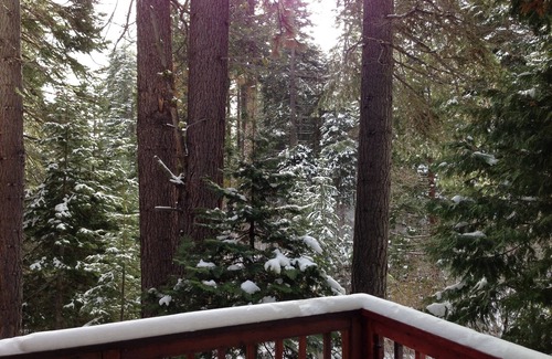 Bunker Tract Cabin | Hidden Serenity Lodge - Private setting, 10 min walk to Lake Tahoe
