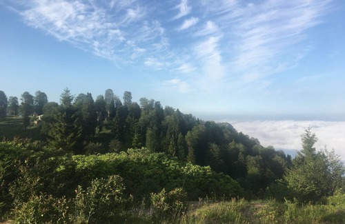 Hidirnebi Yaylasi Villa | Hidirnebi Villa (Doğa ile iç içe)