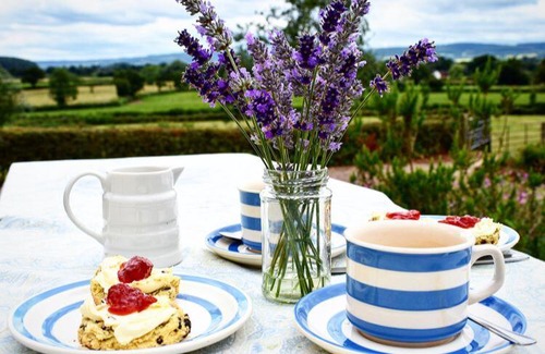 Chittlehampton House | Higher Biddacott Farm