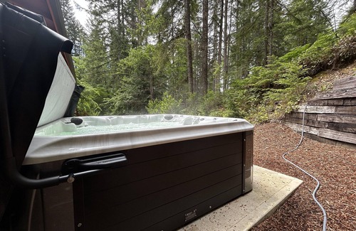 Hoodsport Cabin | Hiker's Retreat, NEW Hot Tub & FirePit, EV Charger