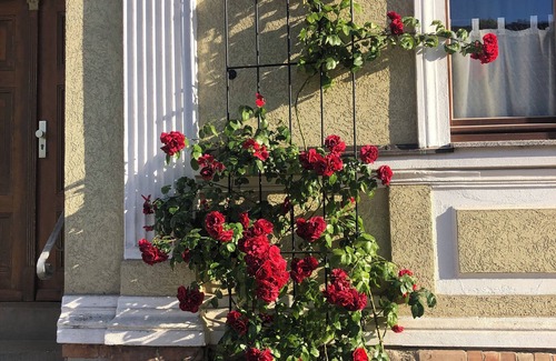 Joachimsthal Apartment | Hiking and swimming: Cozy apartment in Joachimsthal