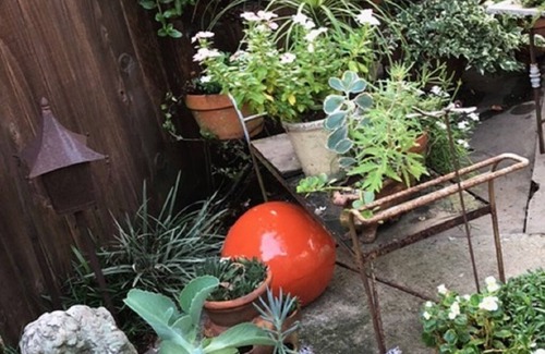 Central Carrollton Association House | "Hillary Gardens" Hip Uptown/University Area Owner on Premises