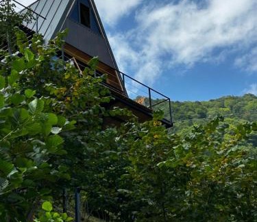Adjara House | HillSide Cottage-ჰილსაიდ კოტეჯი