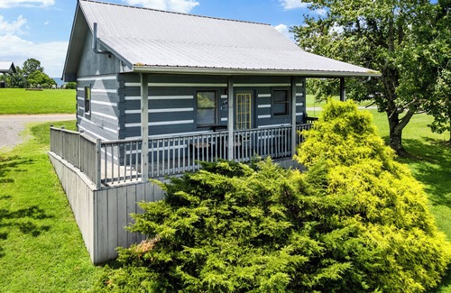Fancy Gap Cabin | Hillside Hideout Log Cabin For 2! Cabin 10