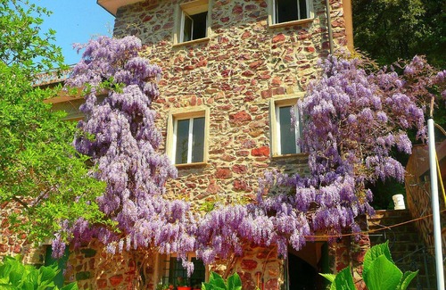 Casarza Ligure House | Hillside Retreat Near 5 Terre