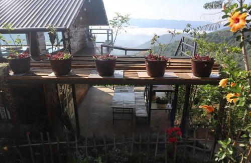 Da Lat House | Hillside Thrilling Tiny House