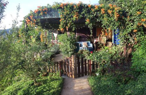Da Lat House | Hillside Thrilling Tiny House