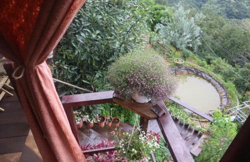 Da Lat House | Hillside Thrilling Tiny House