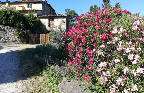 Scandicci House | Hilltop paradise cottage, a stone's throw from Florence !