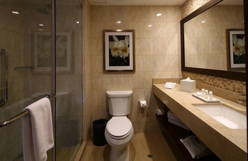 Santa Ana Hotel | Hilton Garden Inn Cusco